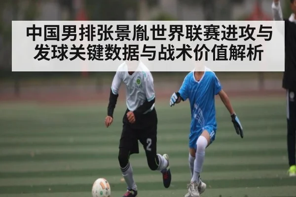 中国男排张景胤世界联赛进攻与发球关键数据与战术价值解析